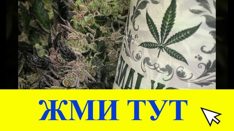 Купить наркотики в Тамбове